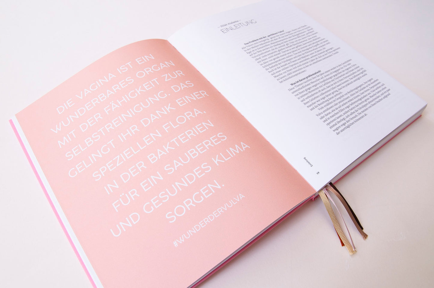 Buch | ein Fest der Vulvenvielfalt
