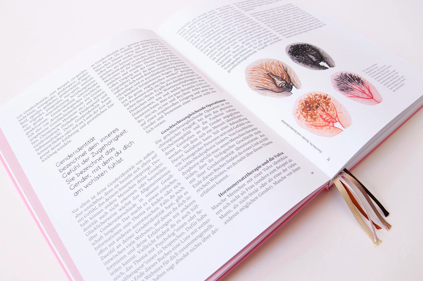 Buch | ein Fest der Vulvenvielfalt