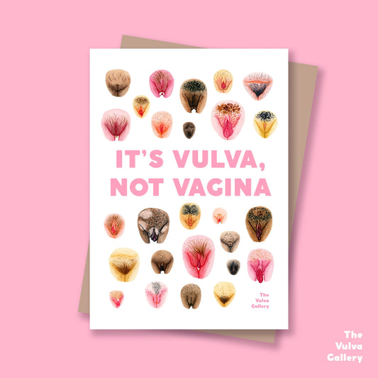 It's Vulva, Not Vagina | Postkarte